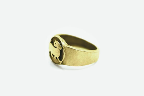 Mesh Rashi Ring - Image 3