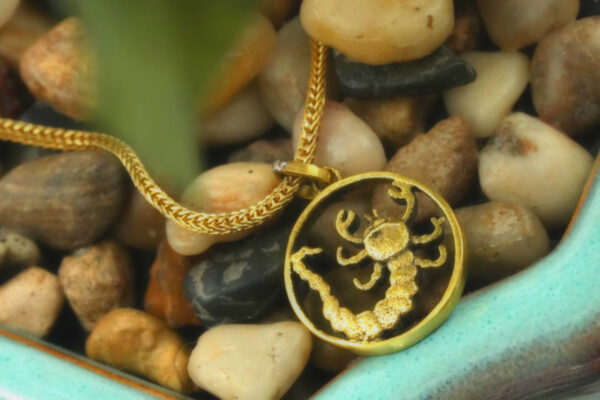 Vrushichik Rashi Locket