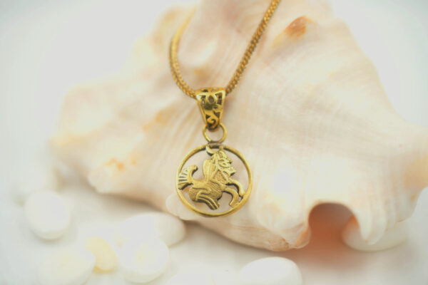 Makar Rashi Locket - Image 3